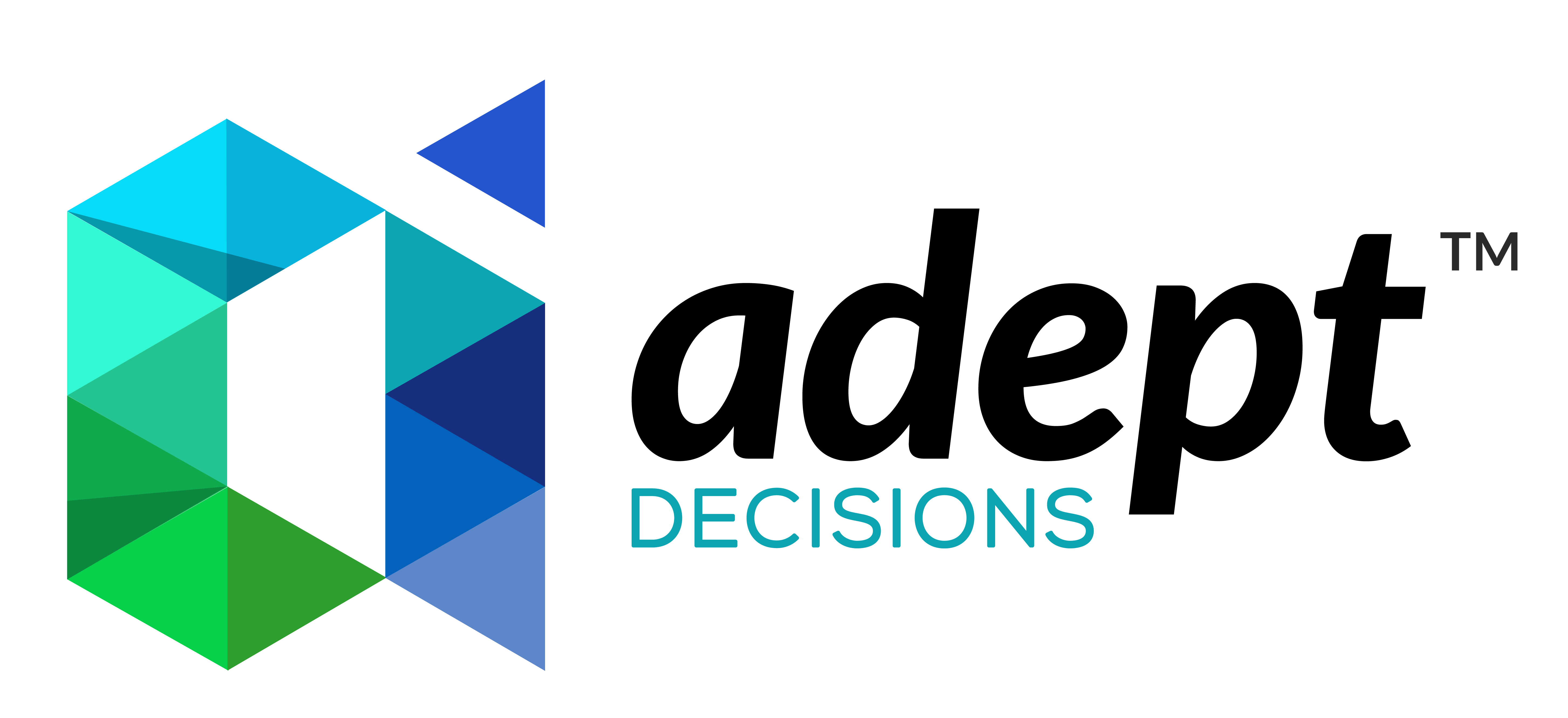 Partner - ADEPT™ Decisions